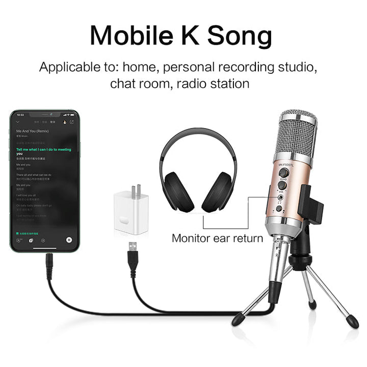 [Discontinued] Professional Condenser Studio Recording USB Microphone - Aussie Gadgets