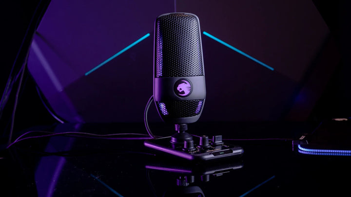 Professional Dual Condenser Studio-Grade Recording USB Stereo Microphone - Aussie Gadgets