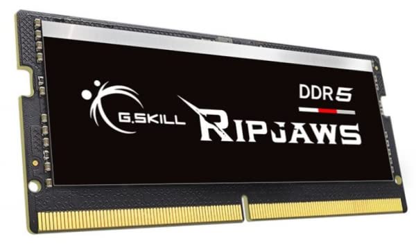 G.SKILL F5-4800S4039A16GX1-RS 16GB (1 x 16GB)/ DDR5 4800 MT/s / Timings 40-39-39-76/ Voltage 1.1V/ Ripjaws